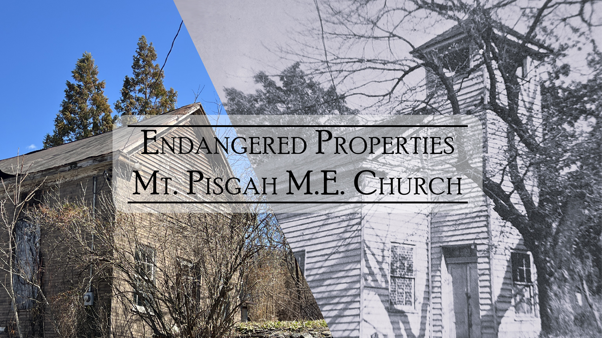 endangered mt pisgah cover V2