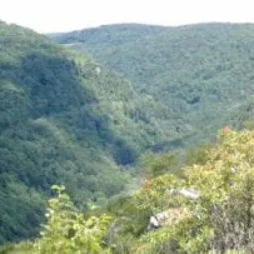 Family Medicine of Berkeley Springs